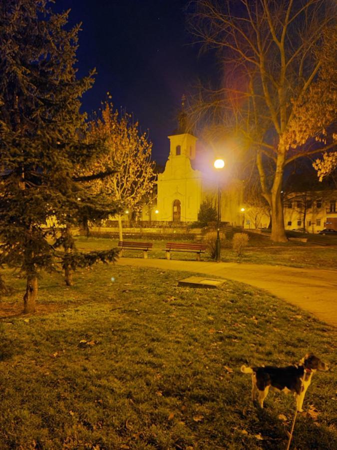 Romzsa Tódor Kollégium Szeged Exterior foto
